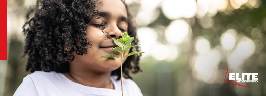 Dicas para cuidar do meio ambiente com atitudes cotidianas